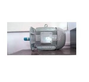 NGEF MOTOR